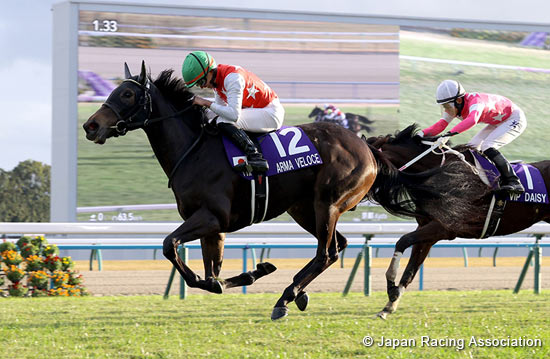 Arma Veloce upsets the Hanshin Juvenile Fillies at Kyoto