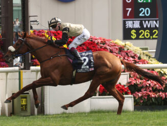 Giavellotto relished the cutback to score his first Group 1 win in the Hong Kong Vase