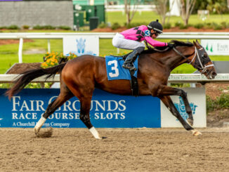 Hot Property wired his debut at Fair Grounds