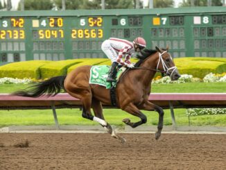 Journalism wins the Los Alamitos Futurity (G2) at Los Alamitos. (Photo by Benoit Photo)