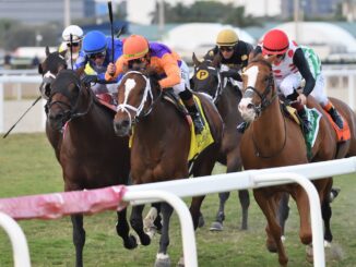 Major Dude wins the Ft Lauderdale S. at Gulfstream Park.