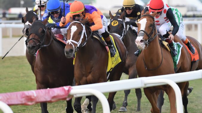 Major Dude wins the Ft Lauderdale S. at Gulfstream Park.