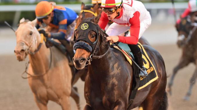 Mufasa worked out the best trip to beat slow-starting White Abarrio in the Mr. Prospector