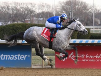 Muhimma wins the Demoiselle S. at Aqueduct.