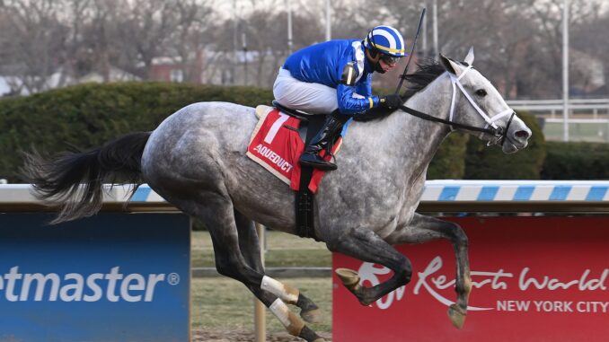 Muhimma wins the Demoiselle S. at Aqueduct.