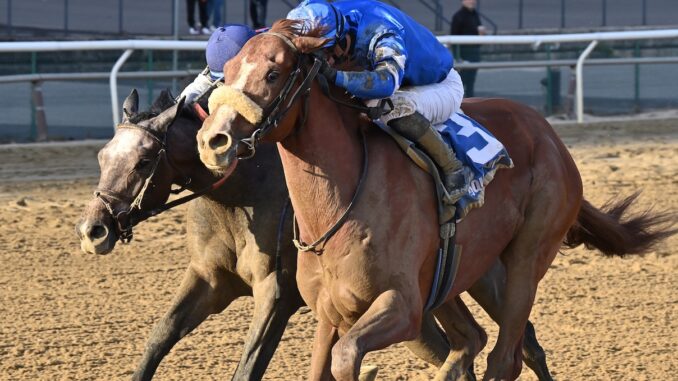 Poster wins the Remsen S. at Aqueduct.