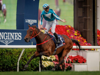 Romantic Warrior became the first horse to win the Hong Kong Cup three times