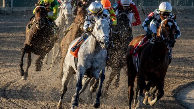 Saudi Crown wins the Tenacious S. at Fair Grounds.