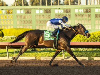 Tenma and jockey Juan Hernandez win the Grade II, $200,000 Starlet, Saturday, December 7, 2024 at Los Alamitos.