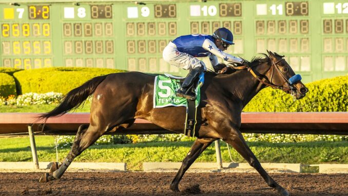 Tenma and jockey Juan Hernandez win the Grade II, $200,000 Starlet, Saturday, December 7, 2024 at Los Alamitos.