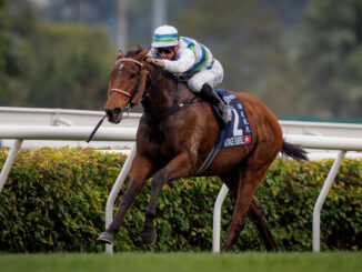 Voyage Bubble rolls to victory in the Hong Kong Mile