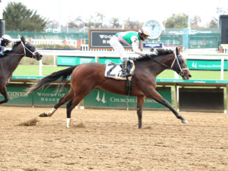 Chasten, a half-sister to champion Idiomatic, won on debut at Churchill Downs