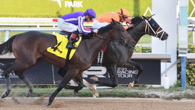 Guns Loaded wins the Mucho Macho Man S. at Gulfstream Park.