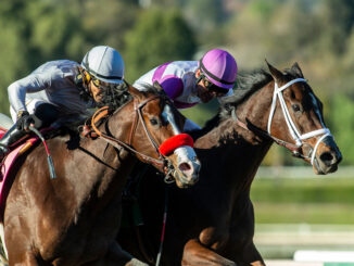 Look Forward (right) dug in and held off Artisma in the Santa Ynez