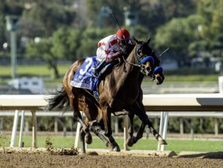 Cavalieri and jockey Juan Hernandez win Beholder Mile S. at Santa Anita Park.