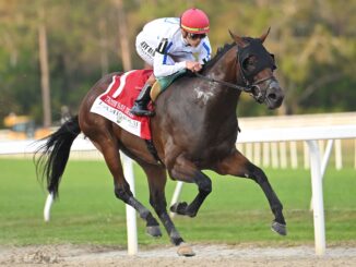 Owen wins the Tampa Bay Derby at Tampa Bay Downs.