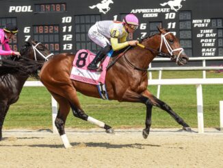 Skippylongstocking wins the Michelob Ultra Challenger Stakes at Tampa Bay Downs.